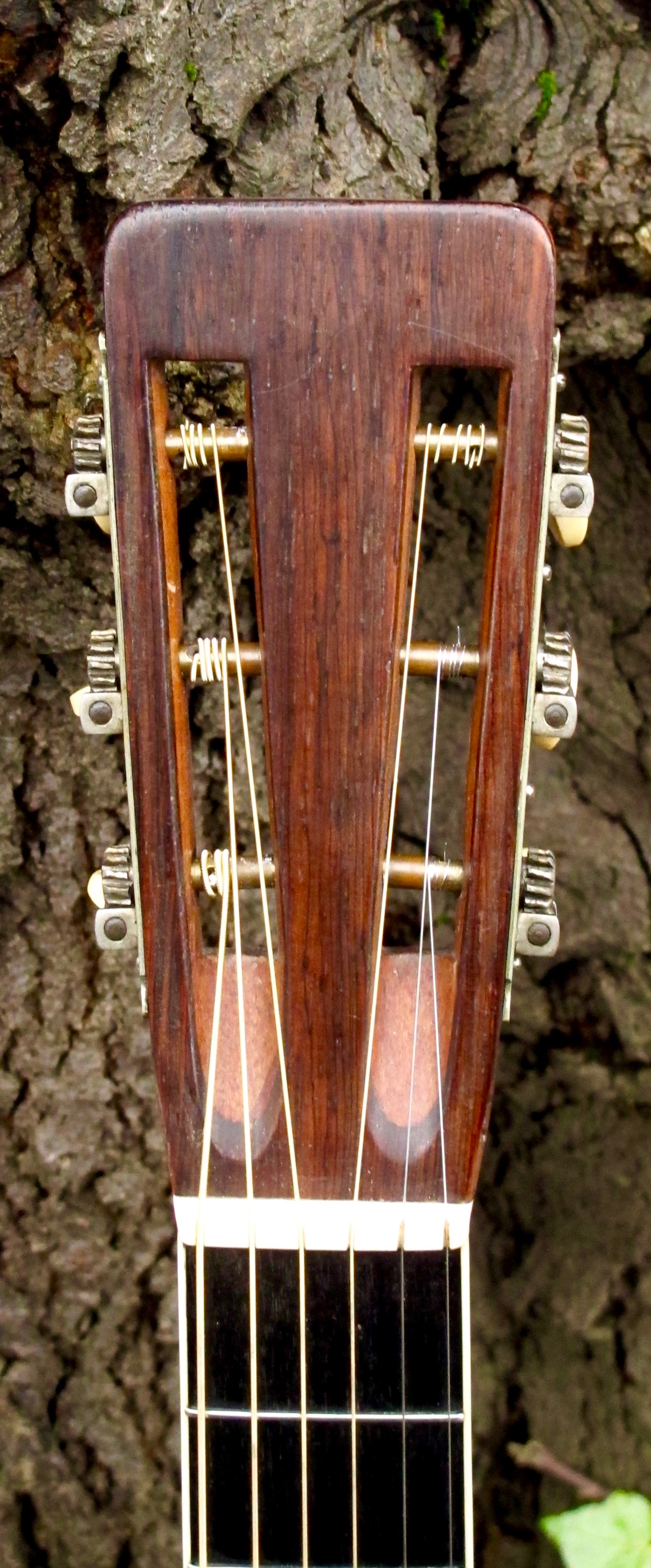 lotus guitar serial number
